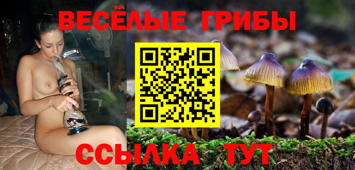 Псилоцибиновые грибы прущие грибы  закладка  Каспийск  Вход с VPN 