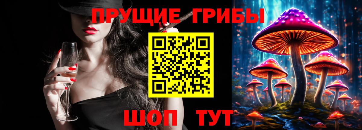 Псилоцибиновые грибы Psilocybine cubensis Каспийск